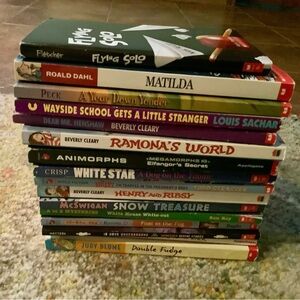 Large Set of Children’s Chapter Books